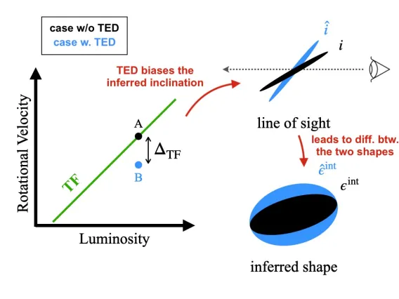 Case with and without TED