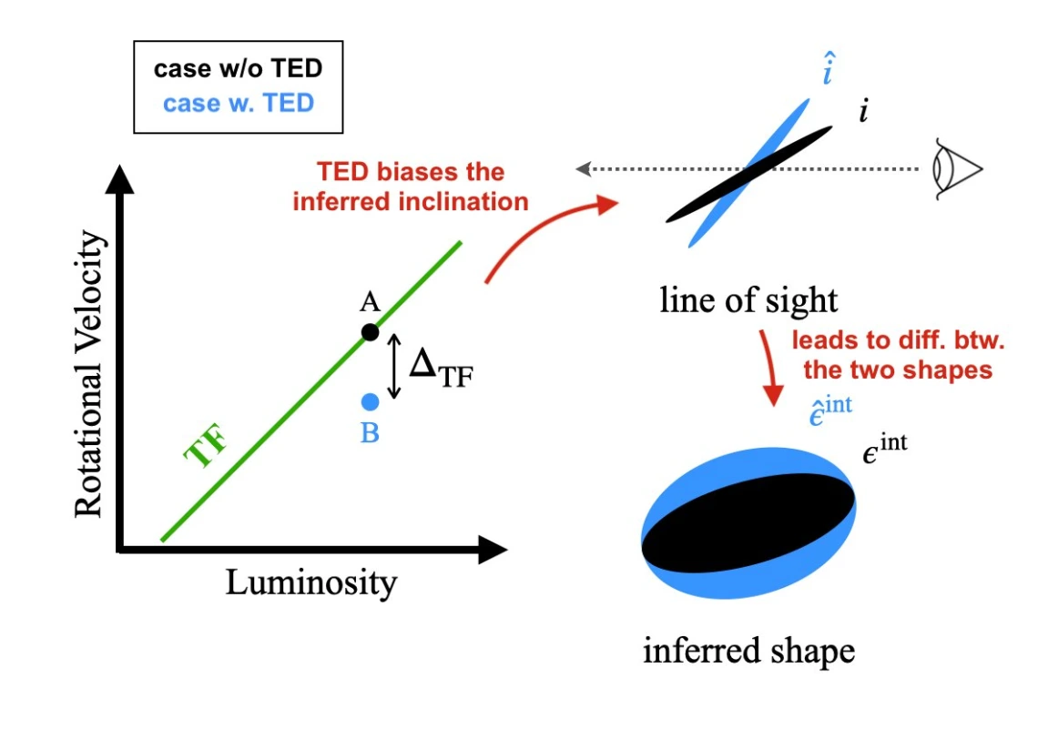 Case with and without TED